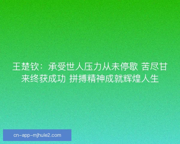 王楚钦：承受世人压力从未停歇 苦尽甘来终获成功 拼搏精神成就辉煌人生